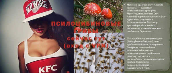 крисы Краснотурьинск