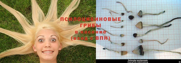 кокаин колумбия Коряжма
