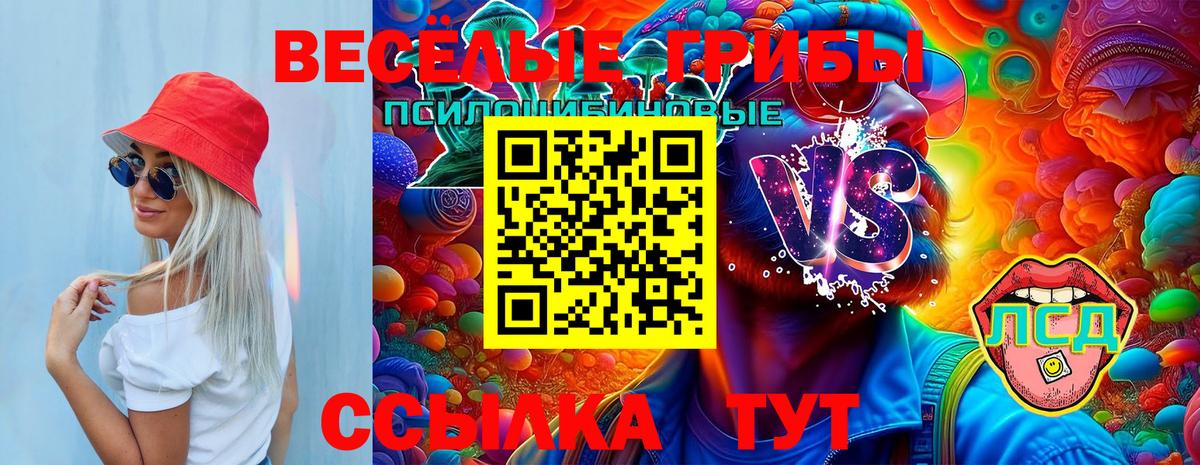 Галлюциногенные грибы Psilocybine cubensis  Вход с VPN  наркошоп  Галлюциногенные грибы GOLDEN TEACHER  Ачинск 