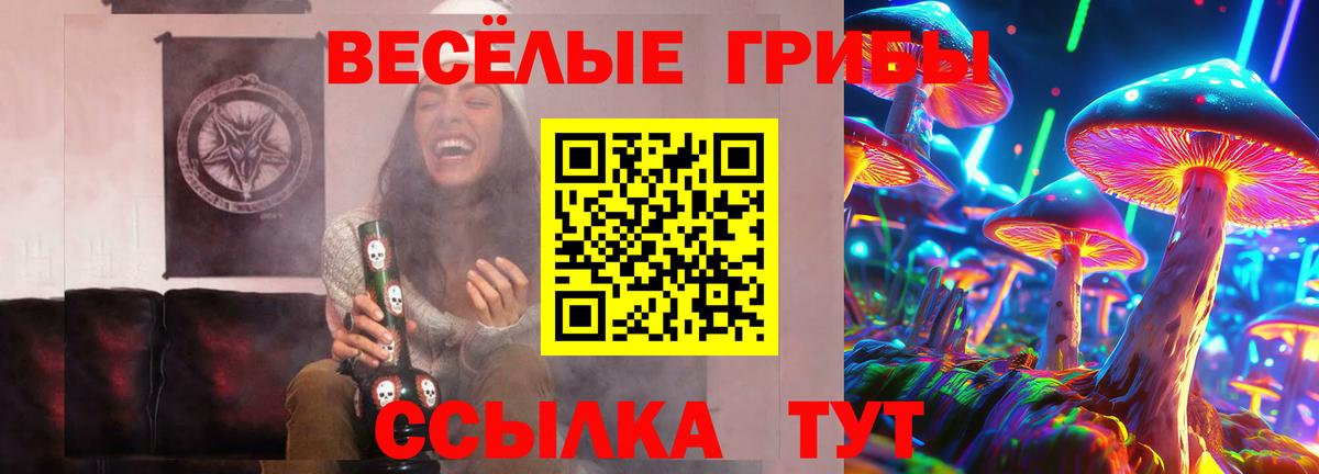 Псилоцибиновые грибы Cubensis Ачинск